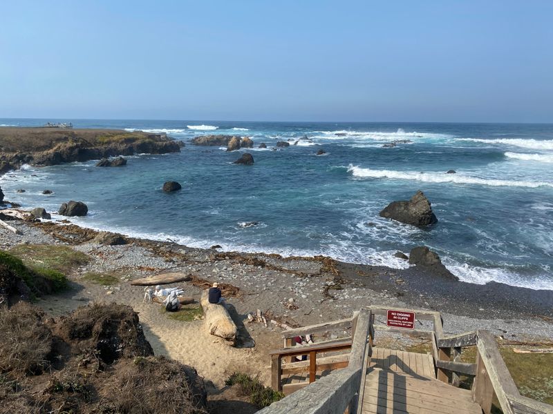 MacKerricher State Park Coastline