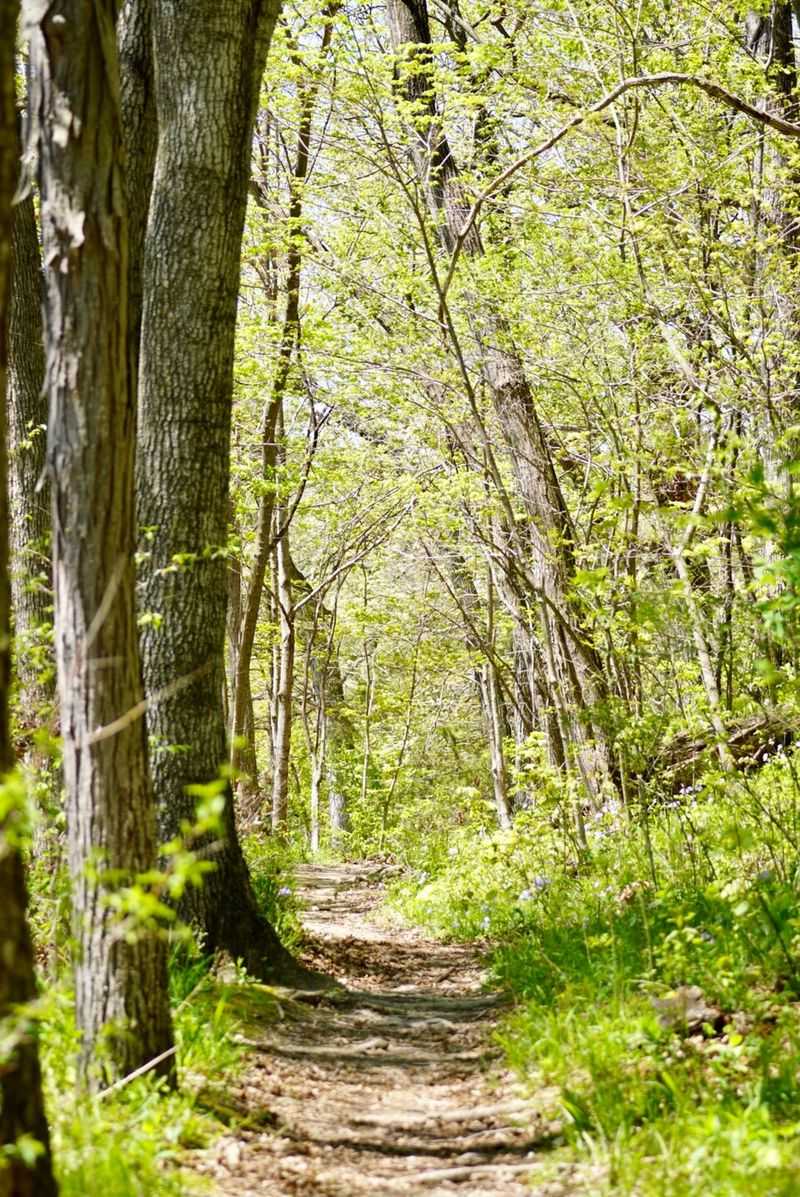 Palisades-Kepler State Park