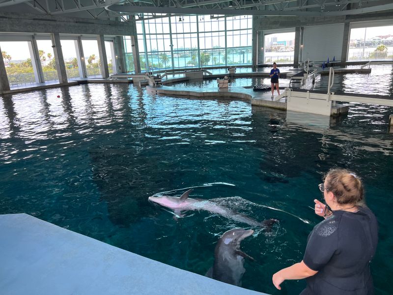 Clearwater Marine Aquarium