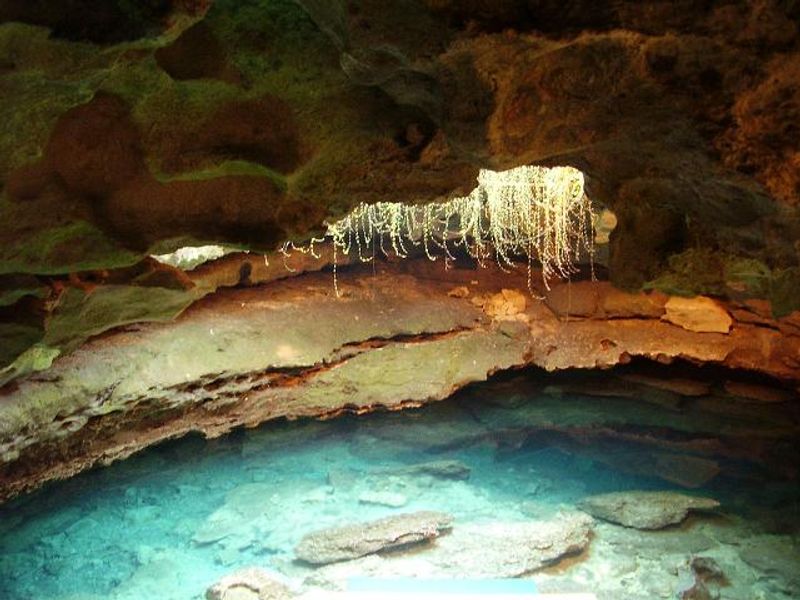 Devil's Den Prehistoric Spring
