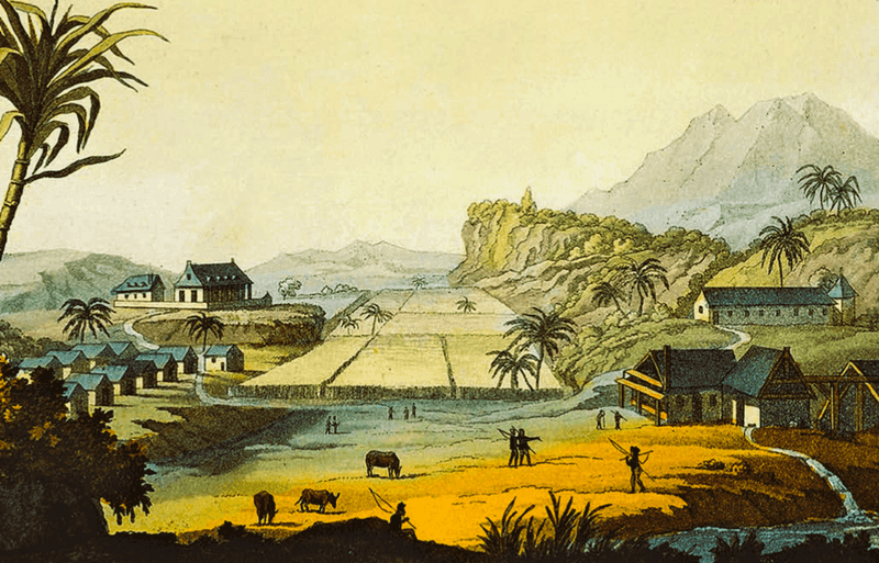 Empire Wealth In The Background: Real Foundation, Softened Framing