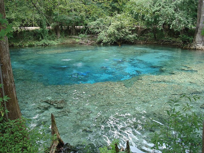 Ginnie Springs