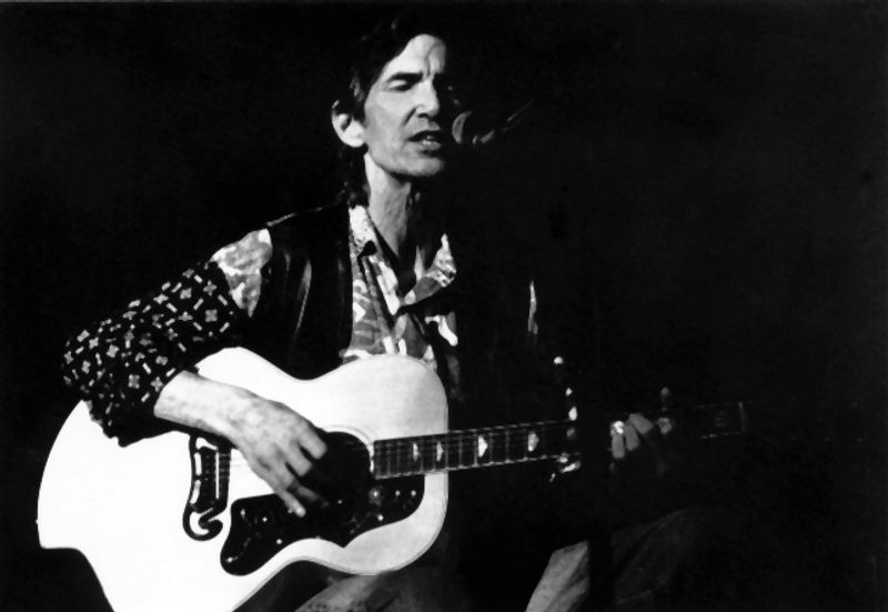Townes Van Zandt - Dead Flowers
