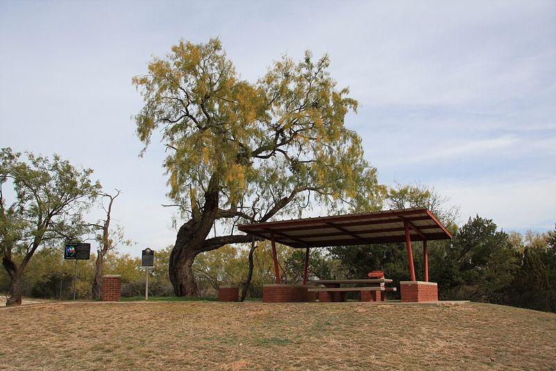 Rath City: The Five-Year Wonder