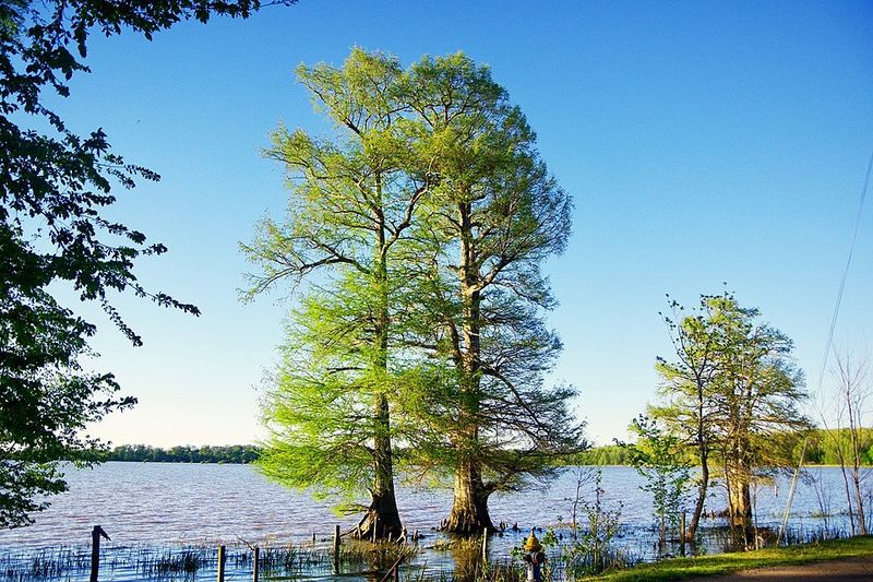 Reelfoot Lake, Tennessee