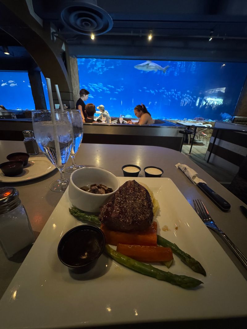 Sharks Underwater Grill