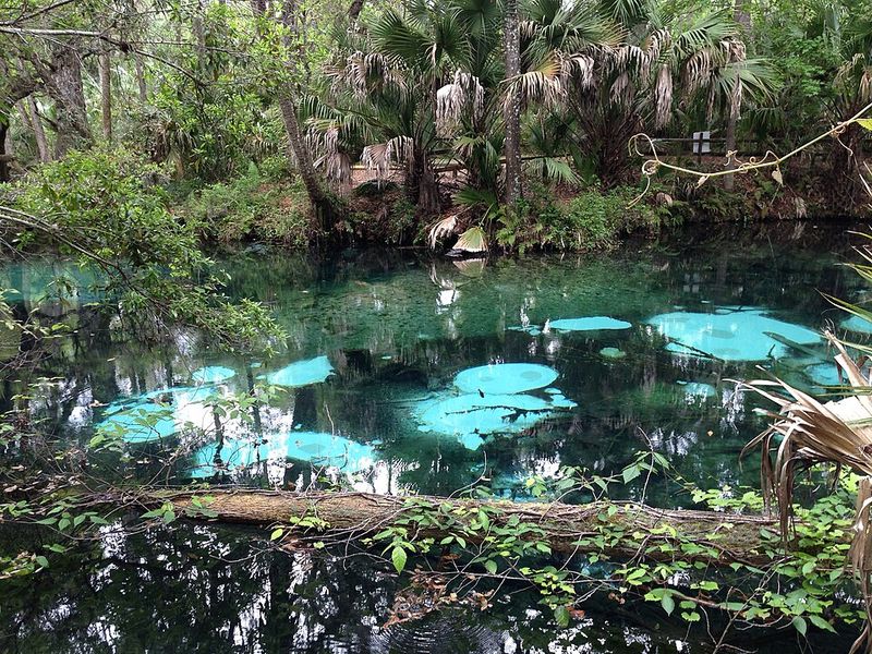 Juniper Springs