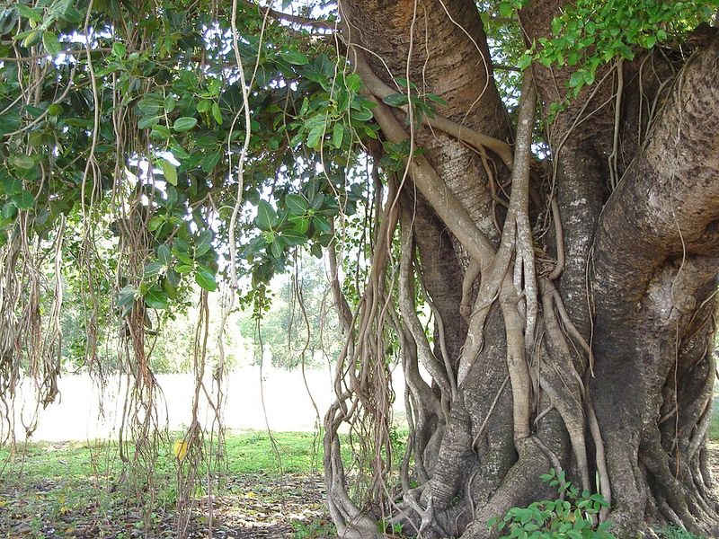 Disrespecting Sacred Spaces