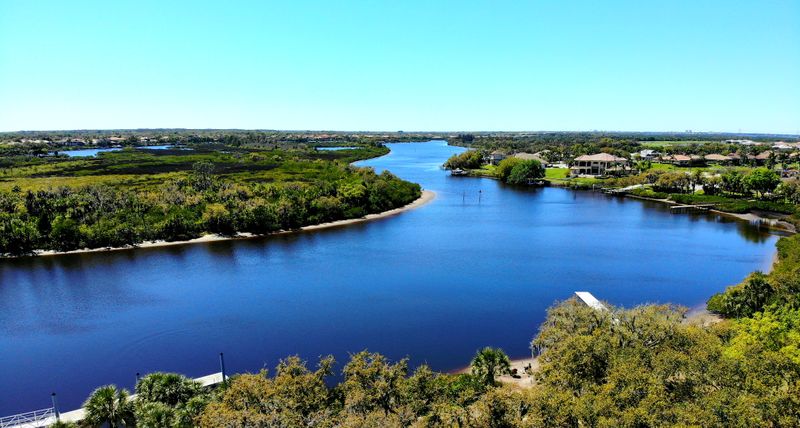 Manatee River Setting