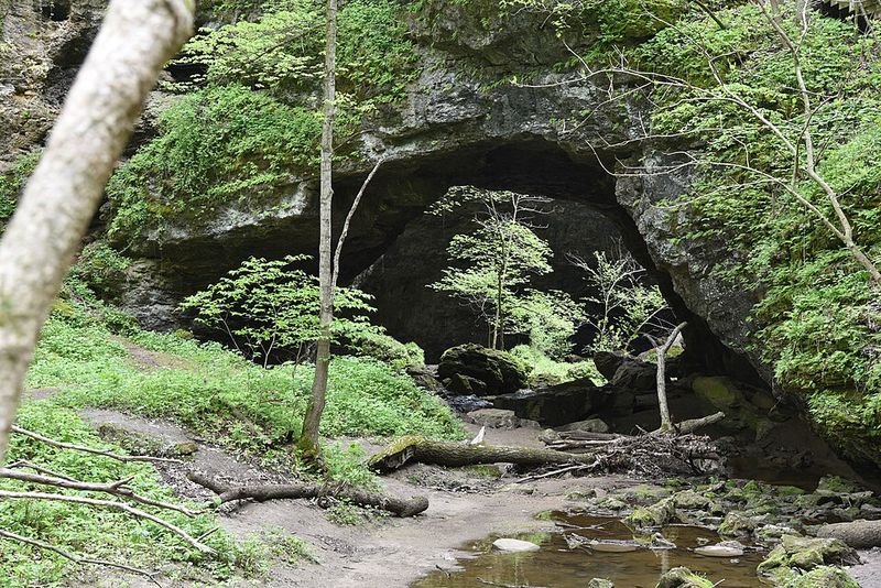 Maquoketa Caves State Park