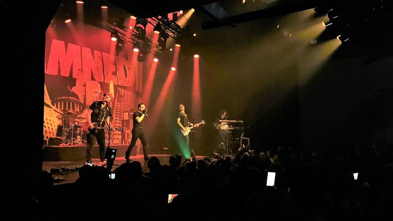 New Rose by The Damned