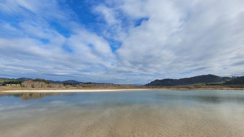 Carmel River State Beach