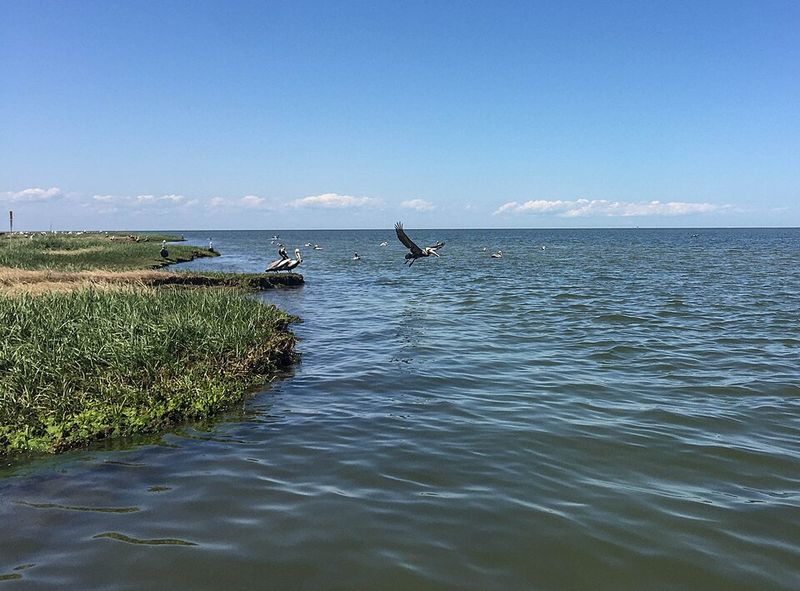 Cape Lookout National Seashore