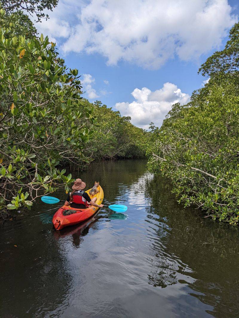 Launch From Sirenia Vista Park For Manatee Viewing And A Calusa Blueway Route