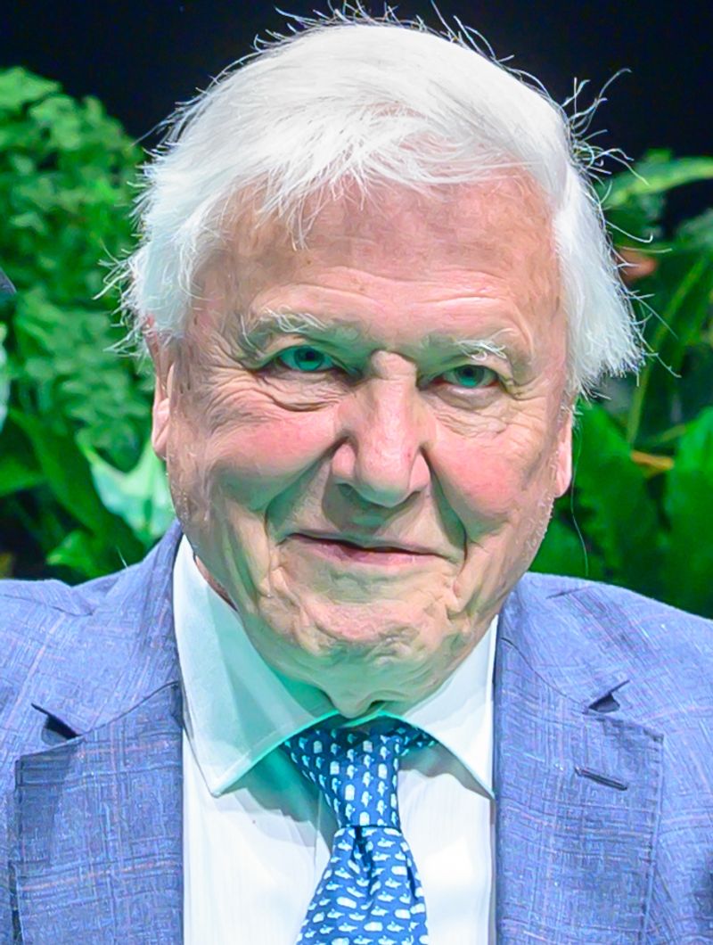 David Attenborough - Turning 100