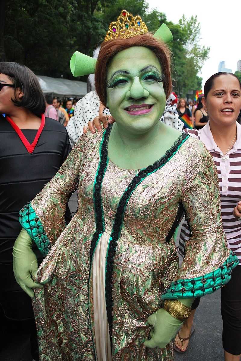 Princess Fiona from Shrek