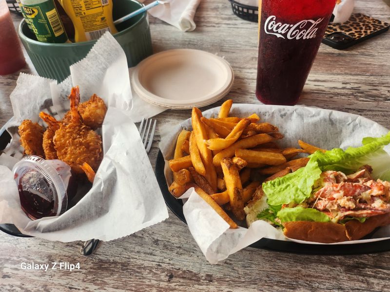 The Old Salty Dog - Sarasota