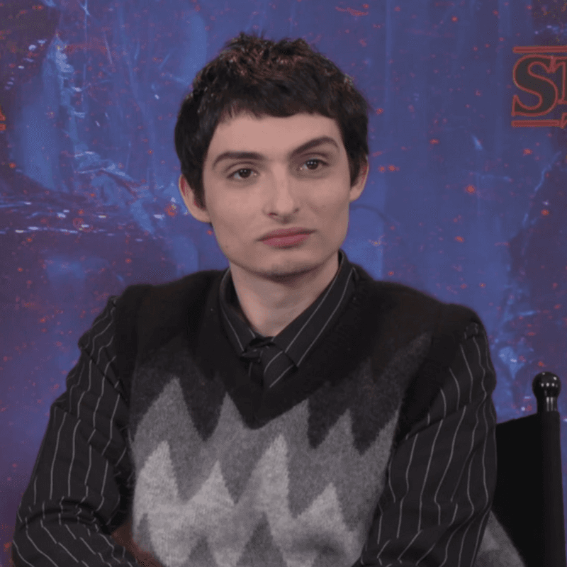 Mike Wheeler - The Chronicler Of Hawkins