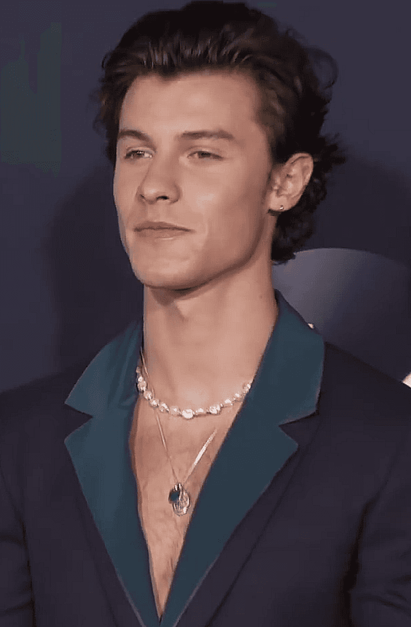 Shawn Mendes ($40M)