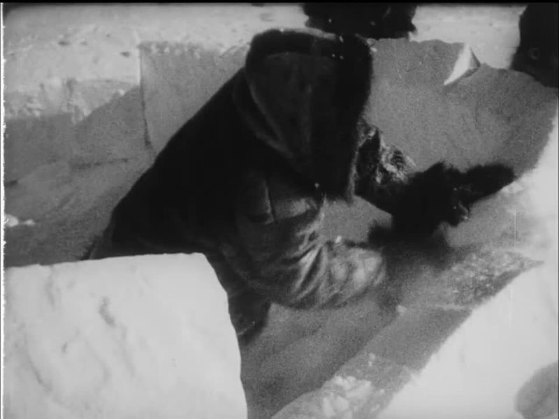 Nanook Of The North (1922, 79 Minutes)