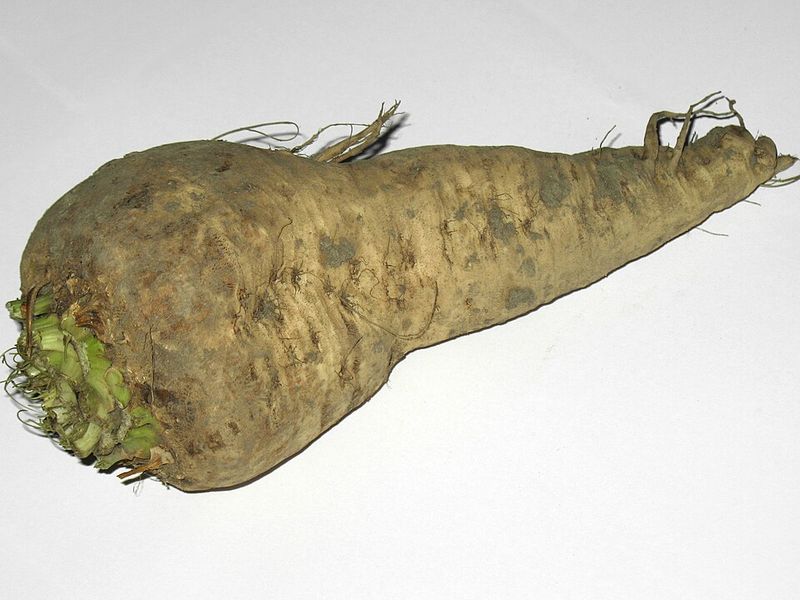Rutabaga