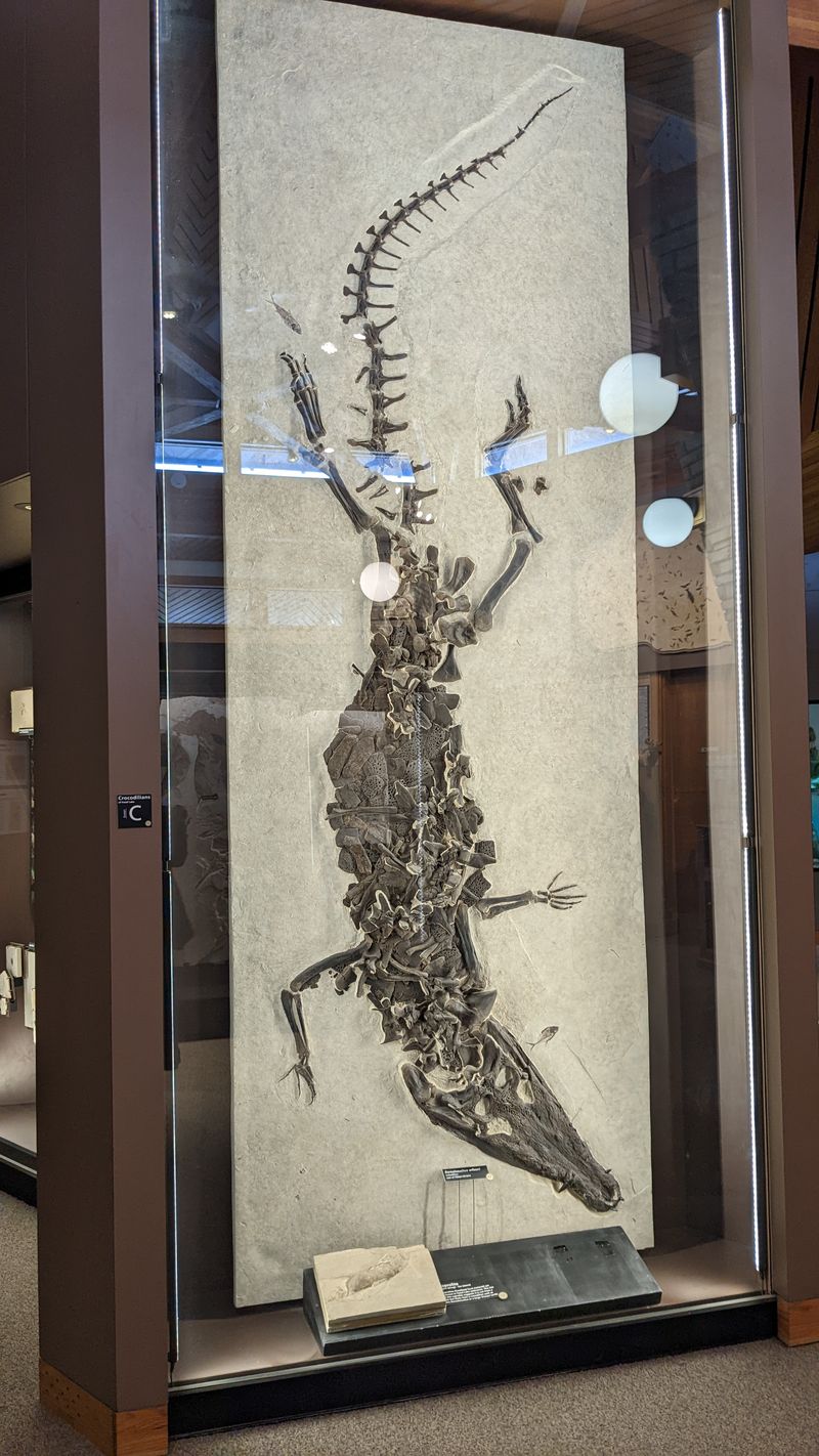 Fossil Butte National Monument