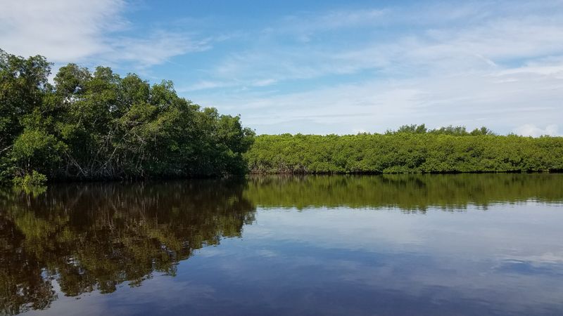 Paddle The Matlacha Pass Aquatic Preserve