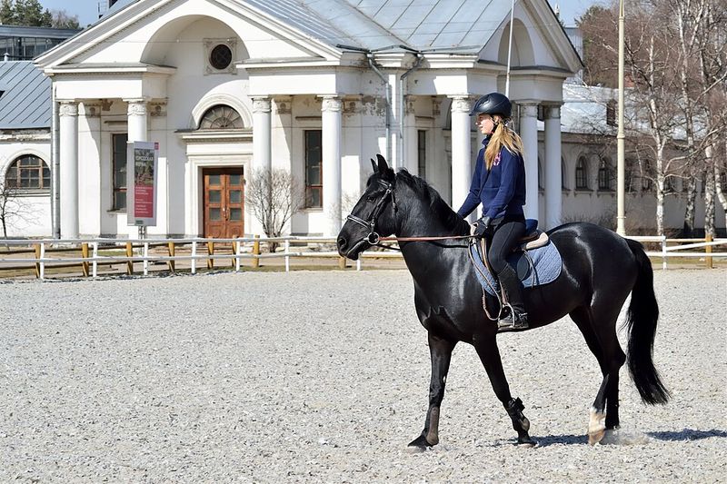 Master Horseback Riding On The Open Range