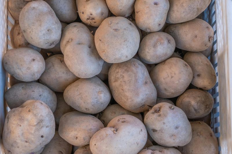 Block Light To Prevent Greening