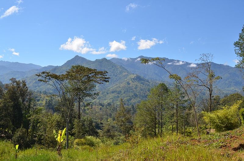 Papua New Guinea Highlands