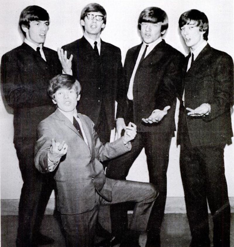 Mrs. Brown, You've Got a Lovely Daughter — Herman's Hermits