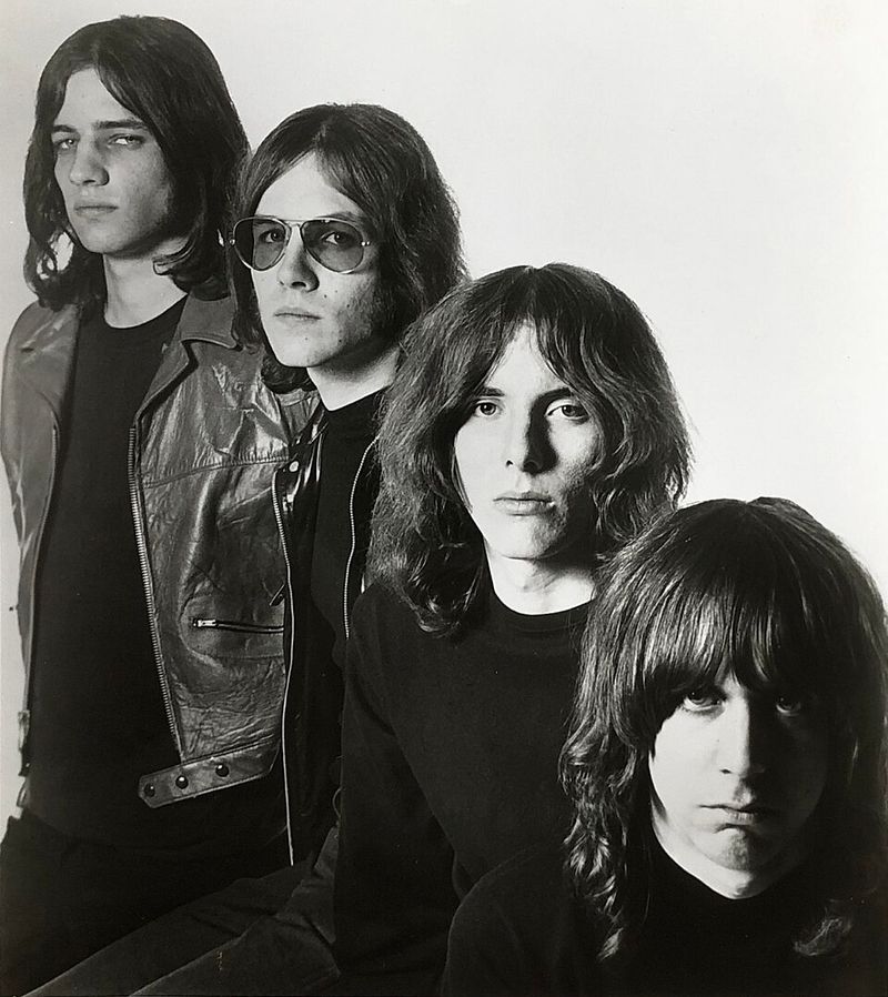 I Wanna Be Your Dog By The Stooges
