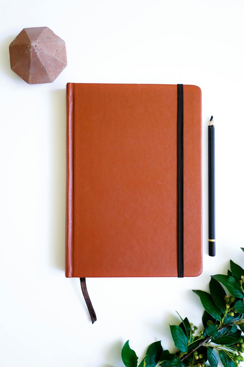 The Phoenix Pencil Company by Allison King