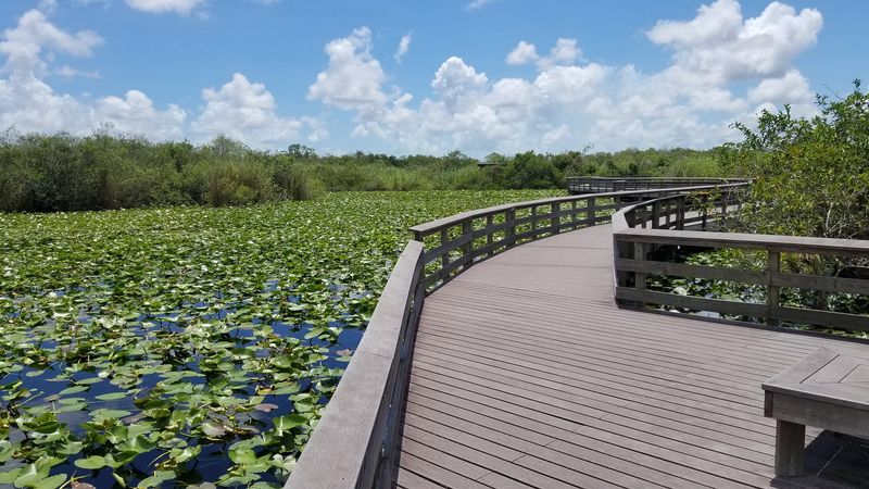 Everglades National Park – Airboats, Wildlife, And Ecosystems Found Nowhere Else