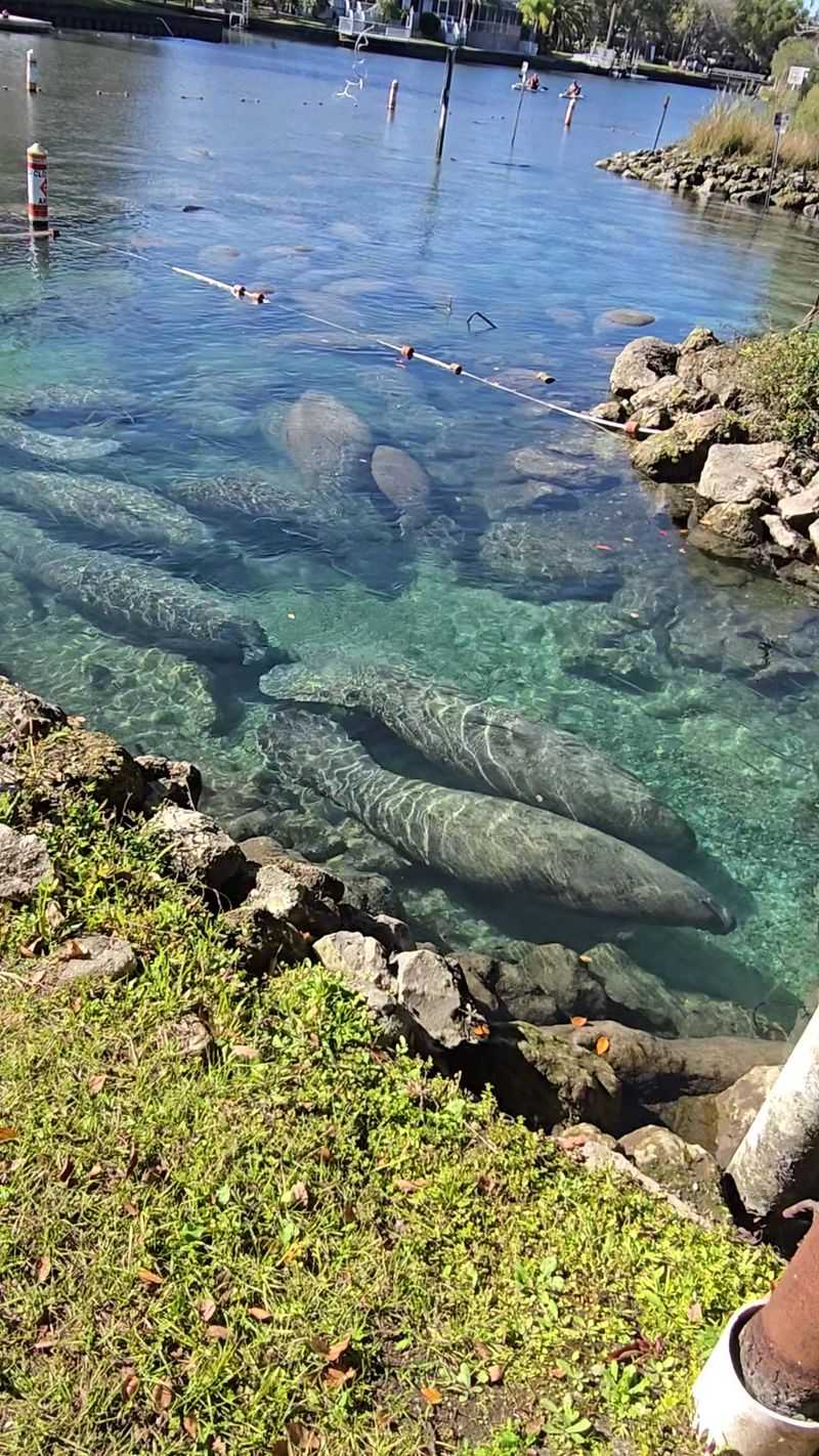 Three Sisters Springs Center