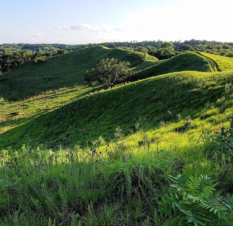Hitchcock Nature Center Conservation Trails