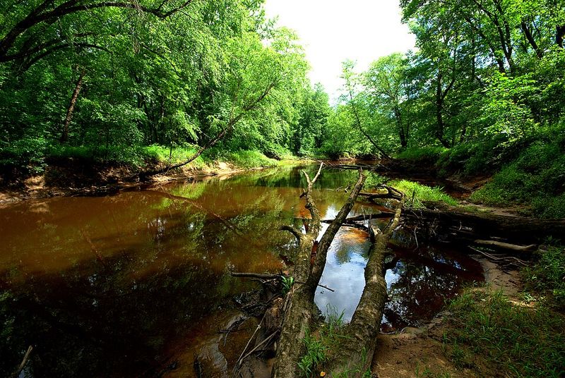 Yellow River State Forest