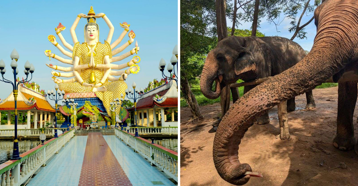 16 Well-Known Spots And Experiences In Koh Samui