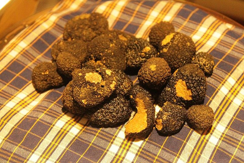 Black Truffles
