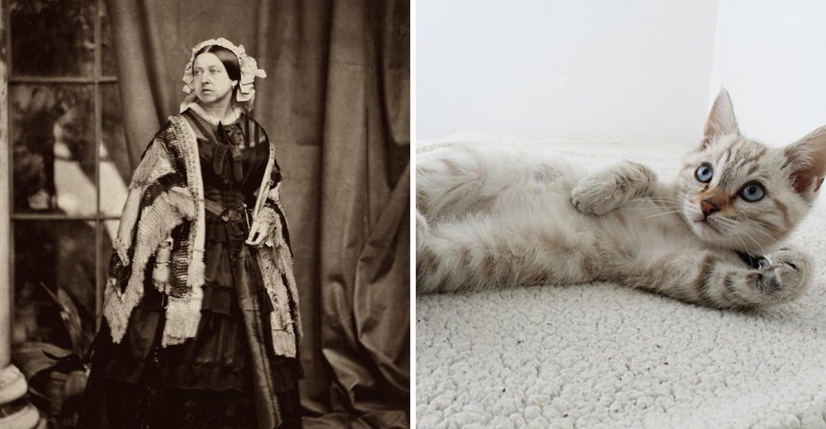 19 Famous People In History Who Had A Soft Spot For Cats