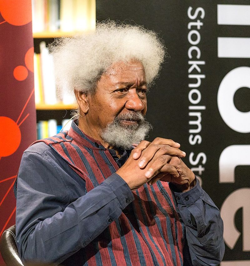 The Interpreters - Wole Soyinka