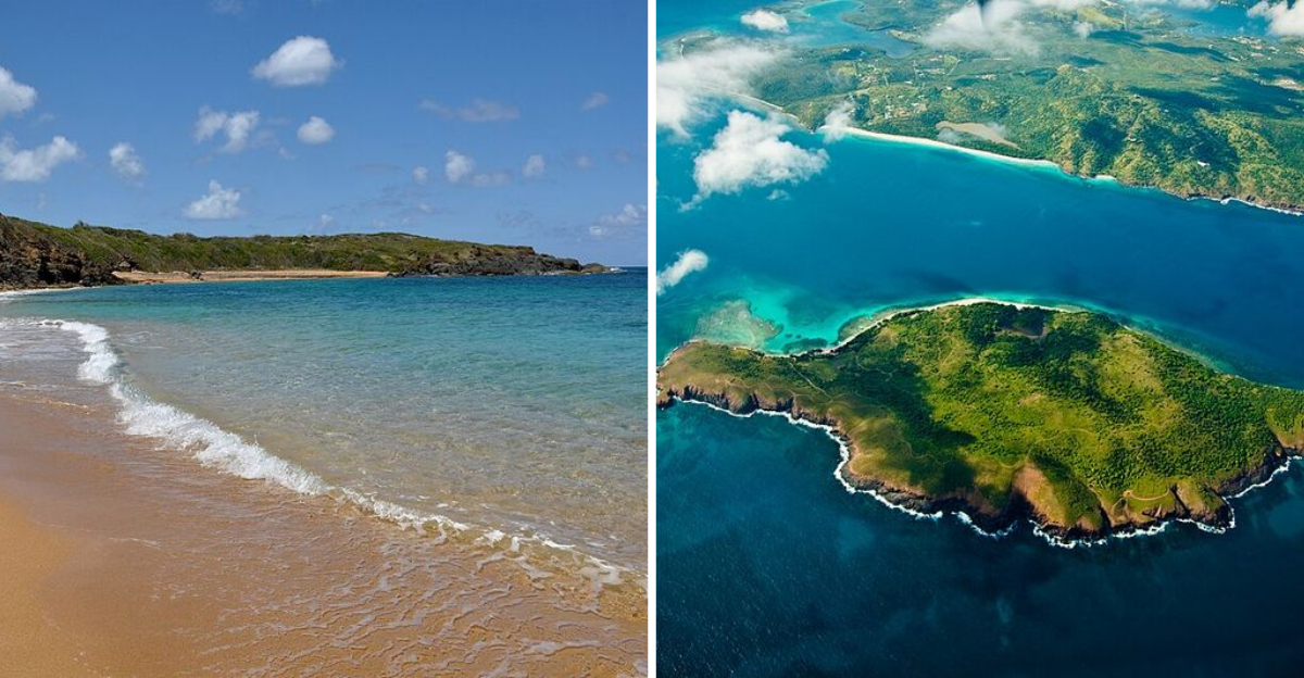 8 Puerto Rico Sea Adventures Every Traveler Should Take