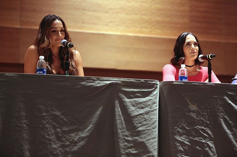 Nikki Bella And Brie Bella