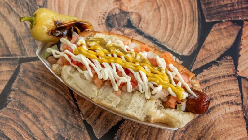 Sonoran Dog
