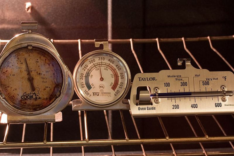 Trusting The Oven Dial Instead Of Checking The Real Temperature