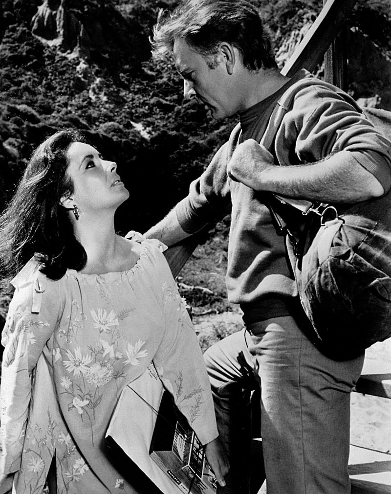 The Sandpiper (1965)