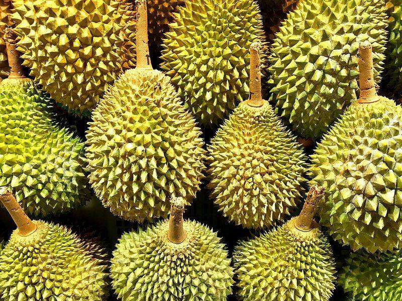 Durian