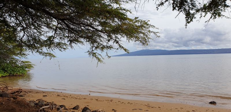 Picnic And Coastal Views At Kakahai'a Park
