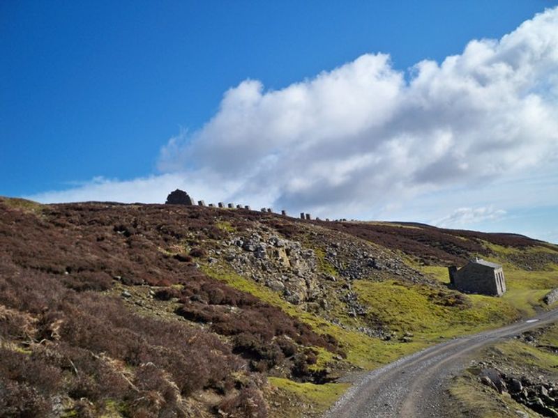 Reeth Moor