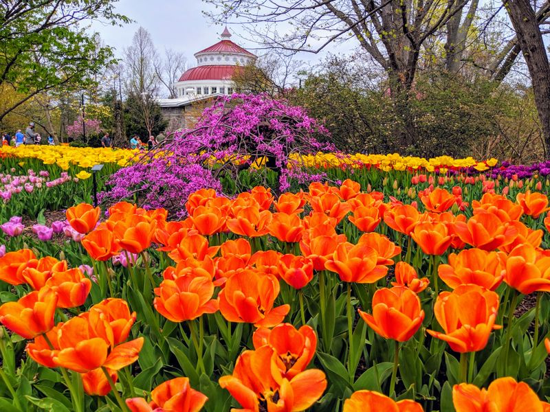 Cincinnati Zoo & Botanical Garden